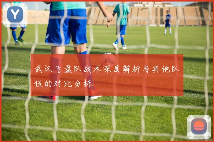 武汉飞盘队战术深度解析与其他队伍的对比分析