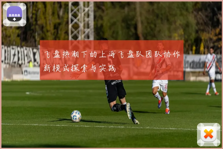 飞盘热潮下的上海飞盘队团队协作新模式探索与实践